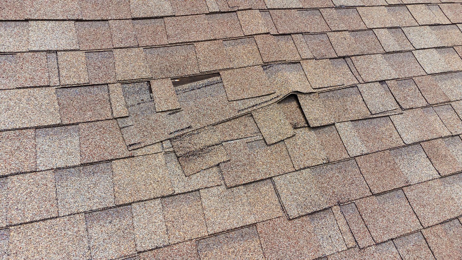 don't buy a house with these shingles