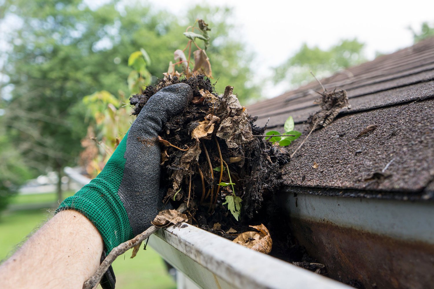 protective gloves make cleaning gutters easy