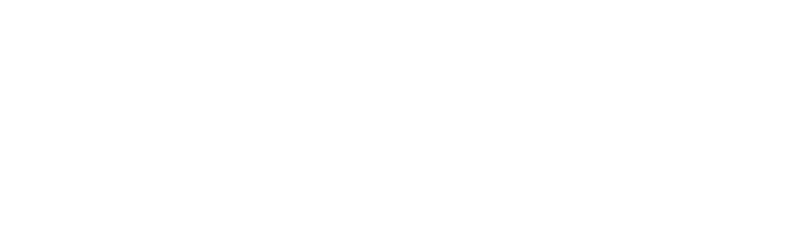 Niswey-Logo-white